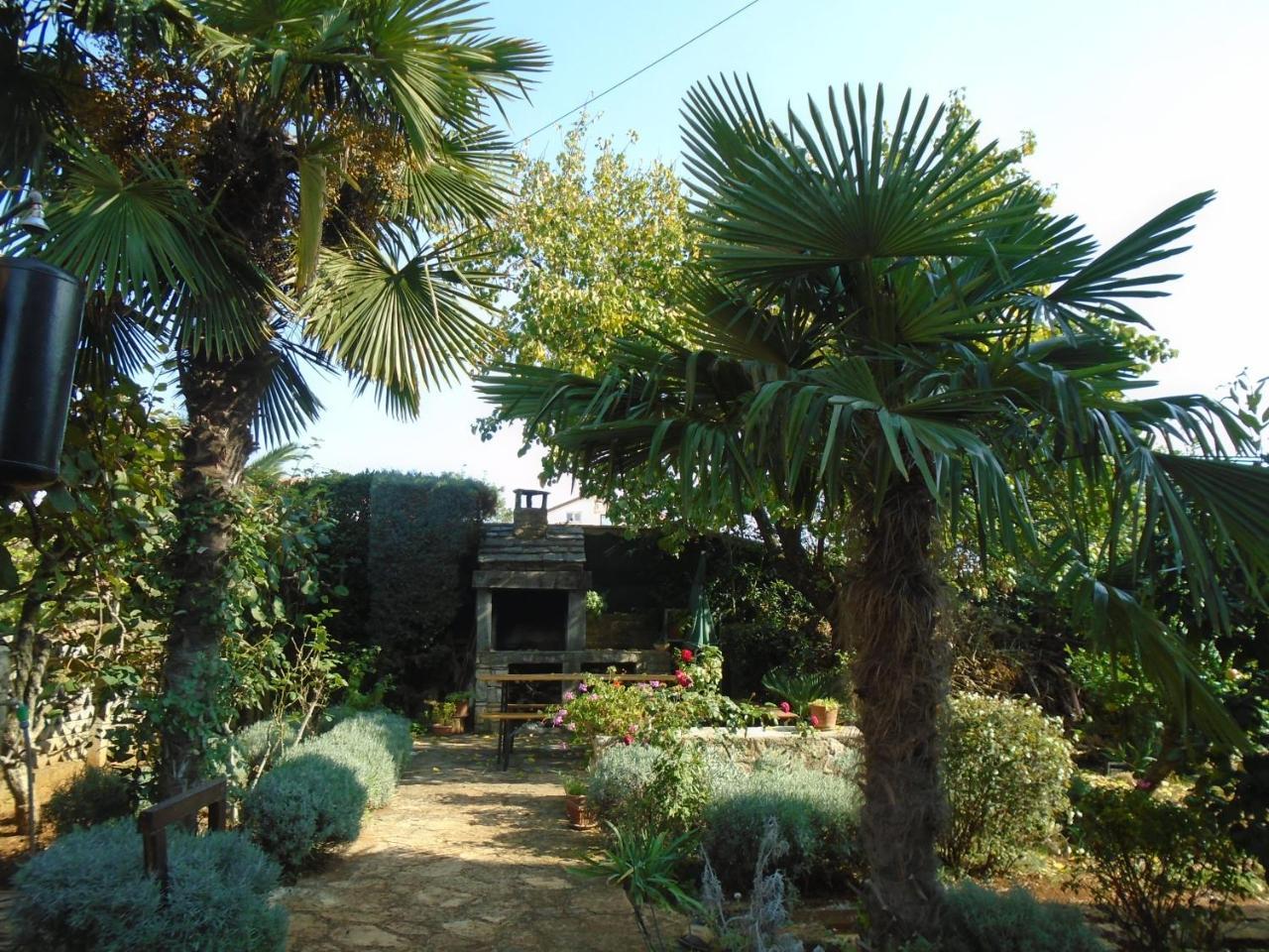 Villa Maria Novigrad Istria Exterior foto