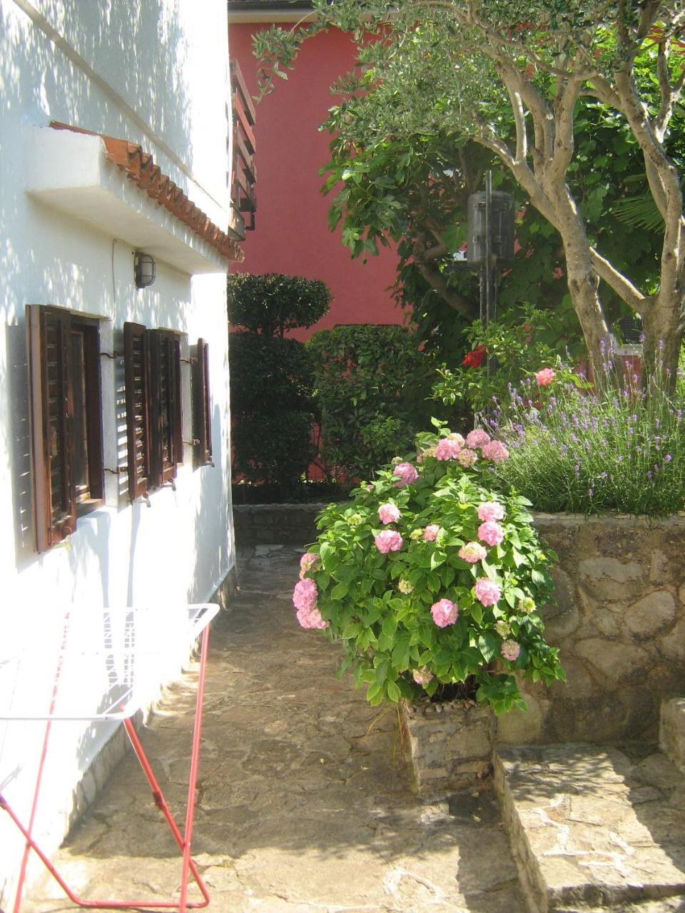 Villa Maria Novigrad Istria Exterior foto