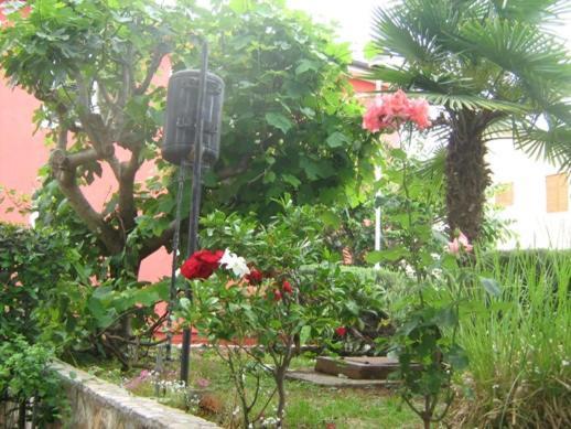 Villa Maria Novigrad Istria Exterior foto