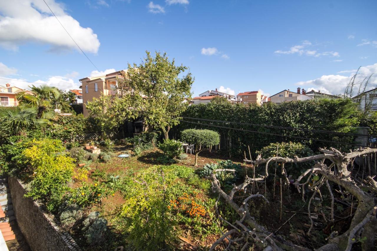 Villa Maria Novigrad Istria Exterior foto